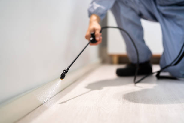 Bed Bug Pre-Treatment Preparation Assessment in Newberry