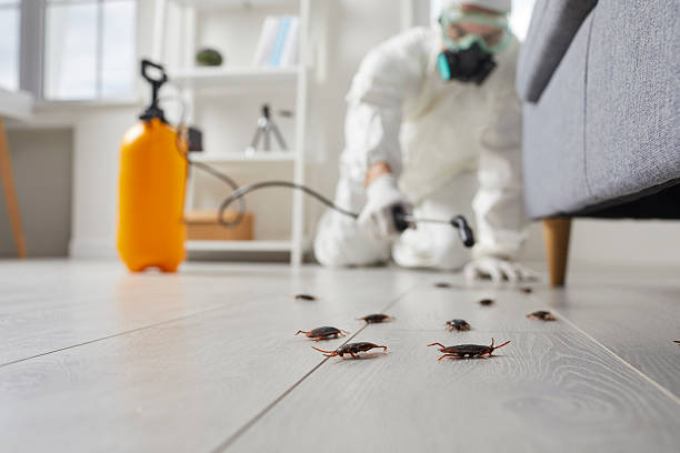 Post-Treatment Bed Bug Interceptor Monitoring in Newberry