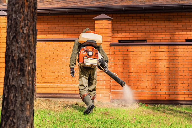 Bed Bug Clearance Verification and Documentation in Newberry